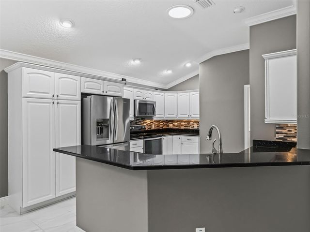 3556 MISTLETOE COURT, The Villages, FL 32163