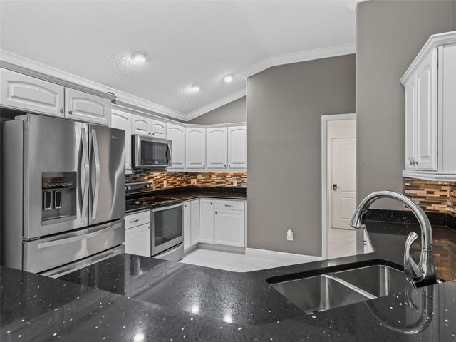 3556 MISTLETOE COURT, The Villages, FL 32163