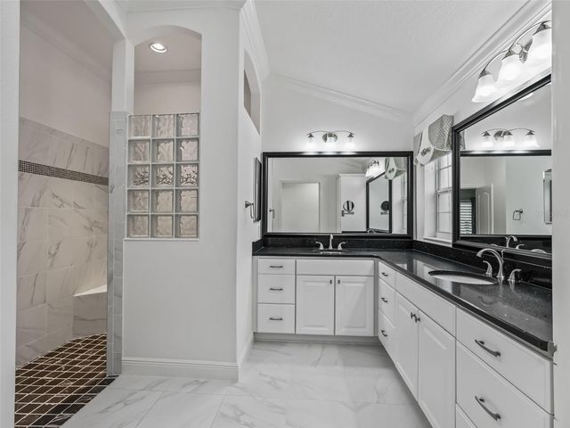 3556 MISTLETOE COURT, The Villages, FL 32163