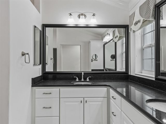 3556 MISTLETOE COURT, The Villages, FL 32163