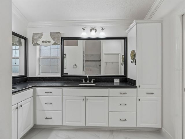 3556 MISTLETOE COURT, The Villages, FL 32163