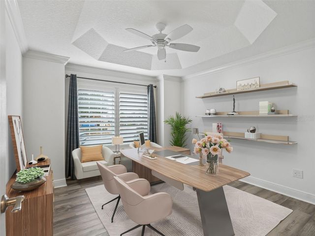 3556 MISTLETOE COURT, The Villages, FL 32163