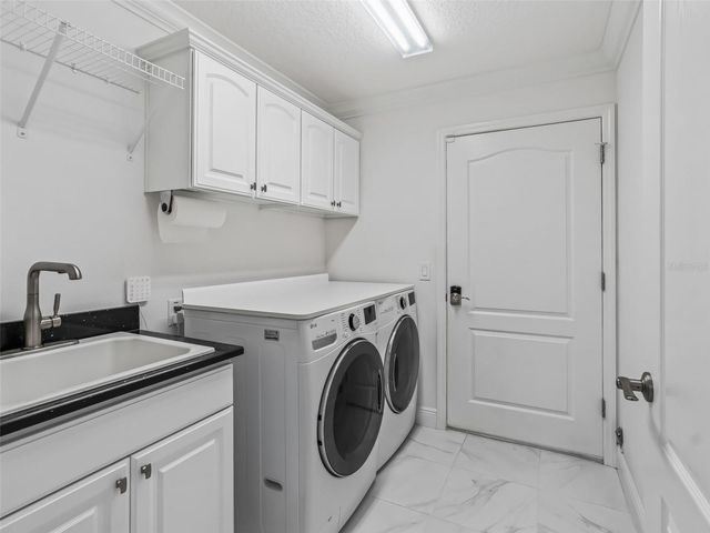 3556 MISTLETOE COURT, The Villages, FL 32163