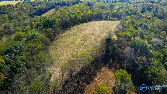 1121 Rolin Hollow Road, Ardmore, TN 38449