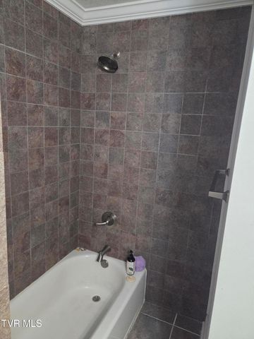 132 Geraldine Street, Gray, TN 37615