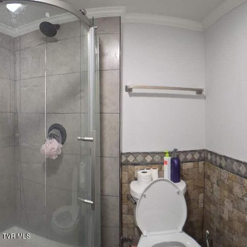 132 Geraldine Street, Gray, TN 37615