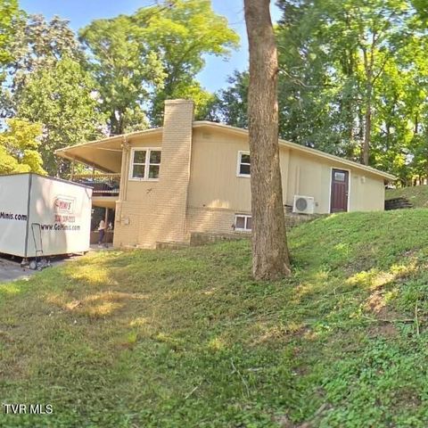 132 Geraldine Street, Gray, TN 37615