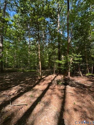 9679 Bridges Bend Rd, Gloucester, VA 23061