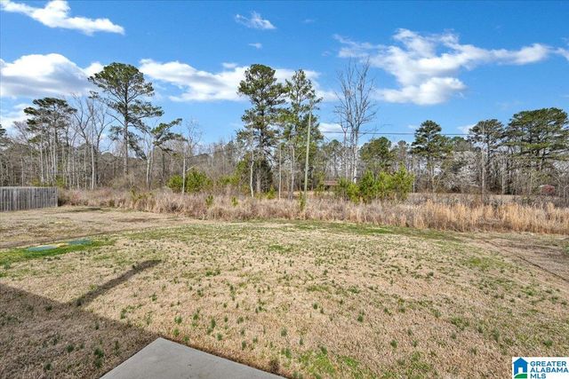 6979 BRIGHTWELL LANE, Dora, AL 35062