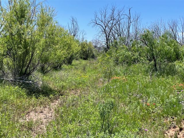 TBD County Road 343, Merkel, TX 79536