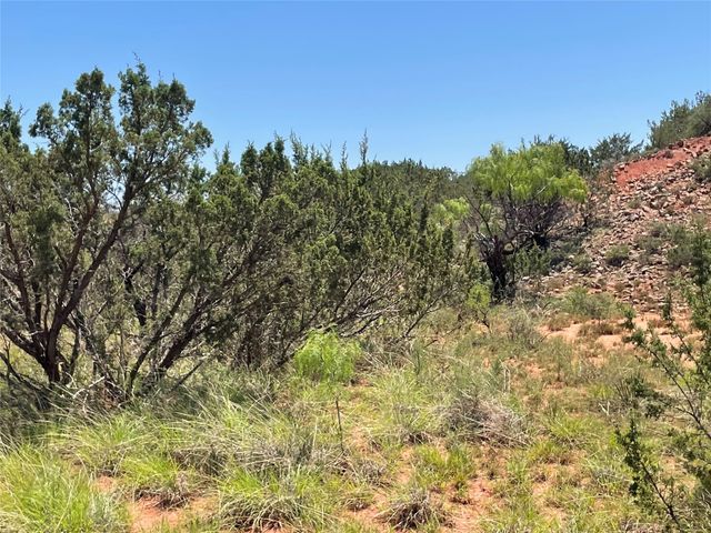 TBD County Road 343, Merkel, TX 79536