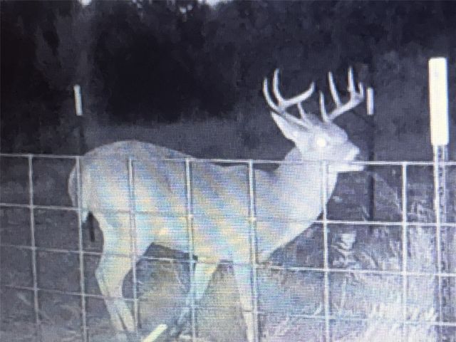 TBD County Road 343, Merkel, TX 79536