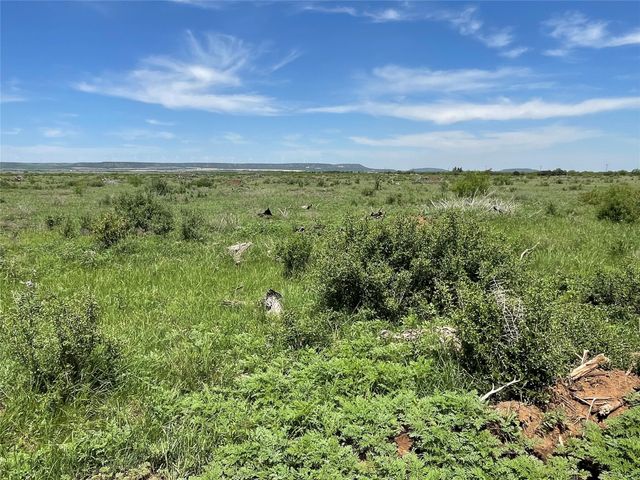 TBD County Road 343, Merkel, TX 79536