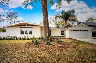 222 WILLOWICK AVENUE, Temple Terrace, FL 33617