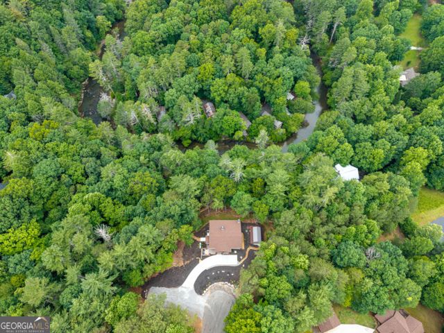 314 Lake View Lane, Ellijay, GA 30536