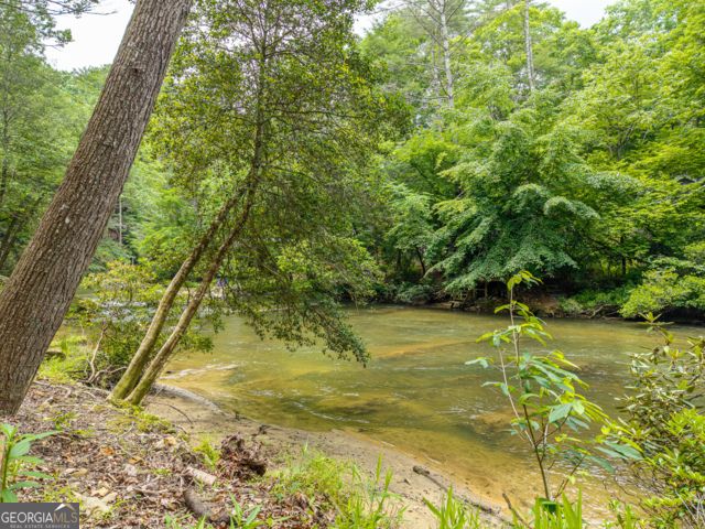 314 Lake View Lane, Ellijay, GA 30536