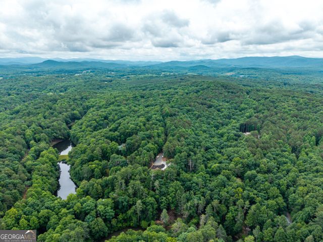 314 Lake View Lane, Ellijay, GA 30536