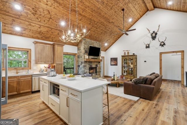 314 Lake View Lane, Ellijay, GA 30536