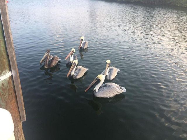 5159 N Hwy A1a 311 B, Fort Pierce, FL 34949