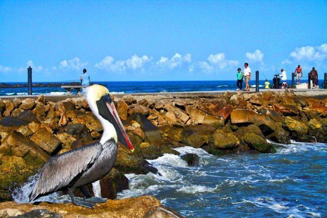 5159 N Hwy A1a 311 B, Fort Pierce, FL 34949