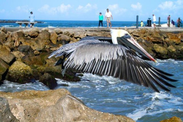 5159 N Hwy A1a 311 B, Fort Pierce, FL 34949