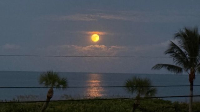 5159 N Hwy A1a 311 B, Fort Pierce, FL 34949