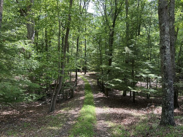 1911 Hickory Pl, Monteagle, TN 37356