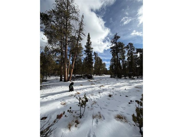 379 Peak View Dr, Leadville, CO 80461