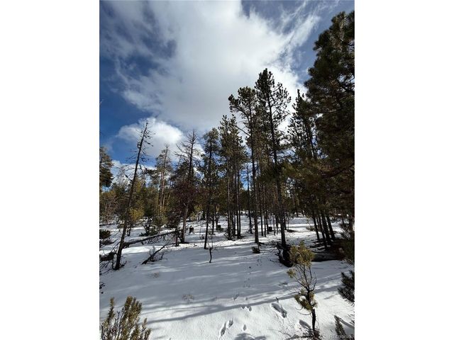379 Peak View Dr, Leadville, CO 80461
