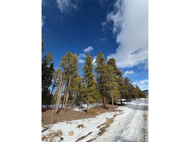 379 Peak View Dr, Leadville, CO 80461