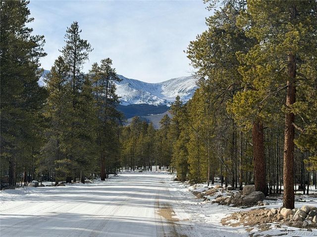 379 Peak View Dr, Leadville, CO 80461
