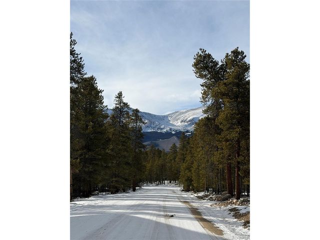 379 Peak View Dr, Leadville, CO 80461