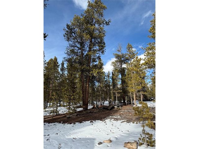 379 Peak View Dr, Leadville, CO 80461