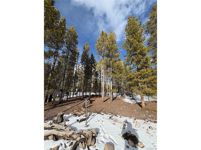 379 Peak View Dr, Leadville, CO 80461