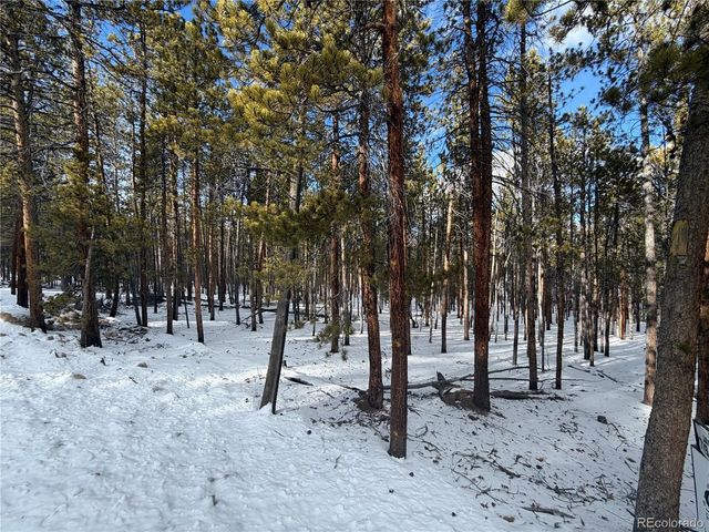 379 Peak View Dr, Leadville, CO 80461