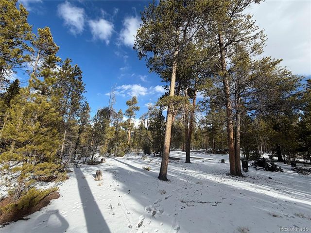379 Peak View Dr, Leadville, CO 80461
