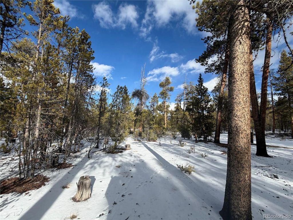 379 Peak View Dr, Leadville, CO 80461