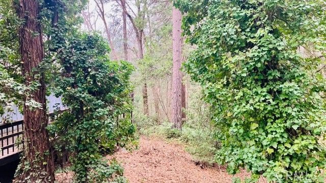 4920 Tippitoe, Forest Ranch, CA 95942