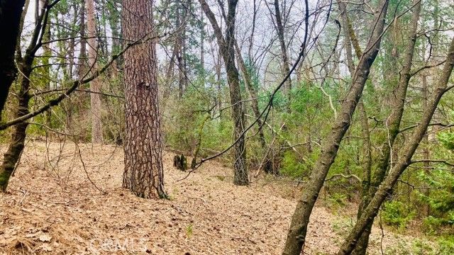 4920 Tippitoe, Forest Ranch, CA 95942