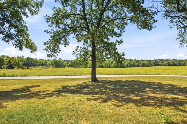 1191 Bobcat Road, Rogersville, MO 65742