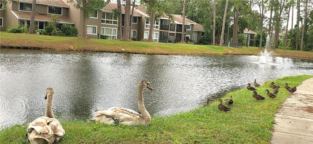 Image 48 of property listing at 6124 PEREGRINE AVENUE D06, Orlando, FL 32819