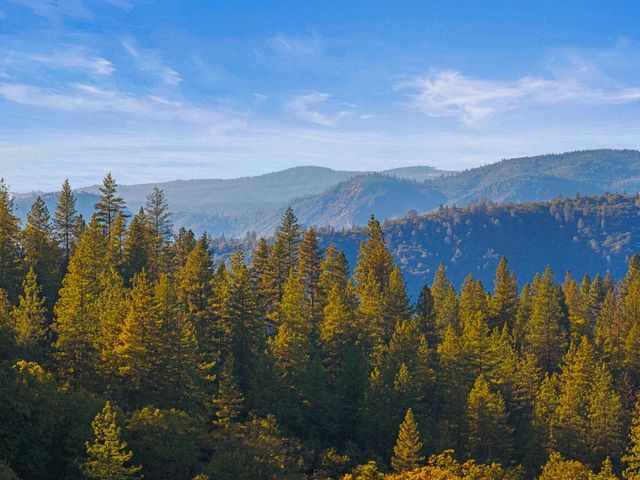 12777 Daisy Blue Mine Rd, Nevada City, CA 95959