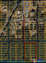 0 X Fir, Raymond, WA 98577