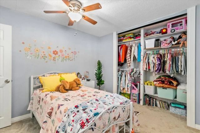 42370 Lilac, Anza, CA 92539