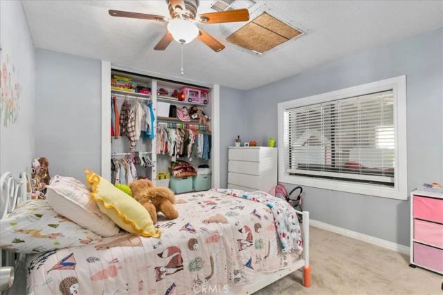 42370 Lilac, Anza, CA 92539