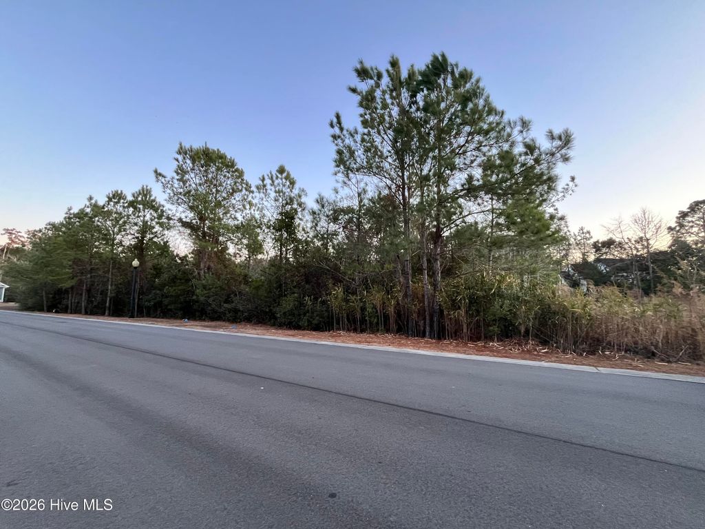 2957 Old Berwick Street SW, Shallotte, NC 28470