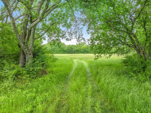 TBD FM 751 Road, Wills Point, TX 75169