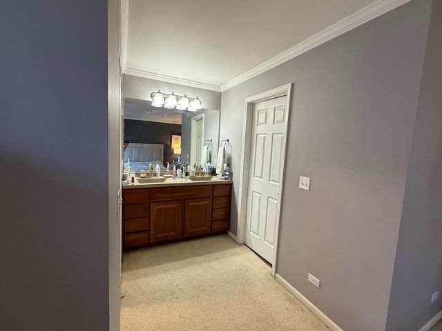 160 Crescent Lane, Schaumburg, IL 60193