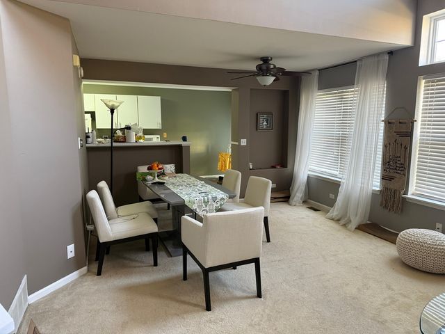 160 Crescent Lane, Schaumburg, IL 60193