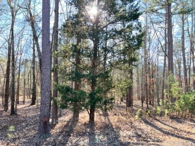 Lot 39 Primrose Creek, Heber Springs, AR 72543